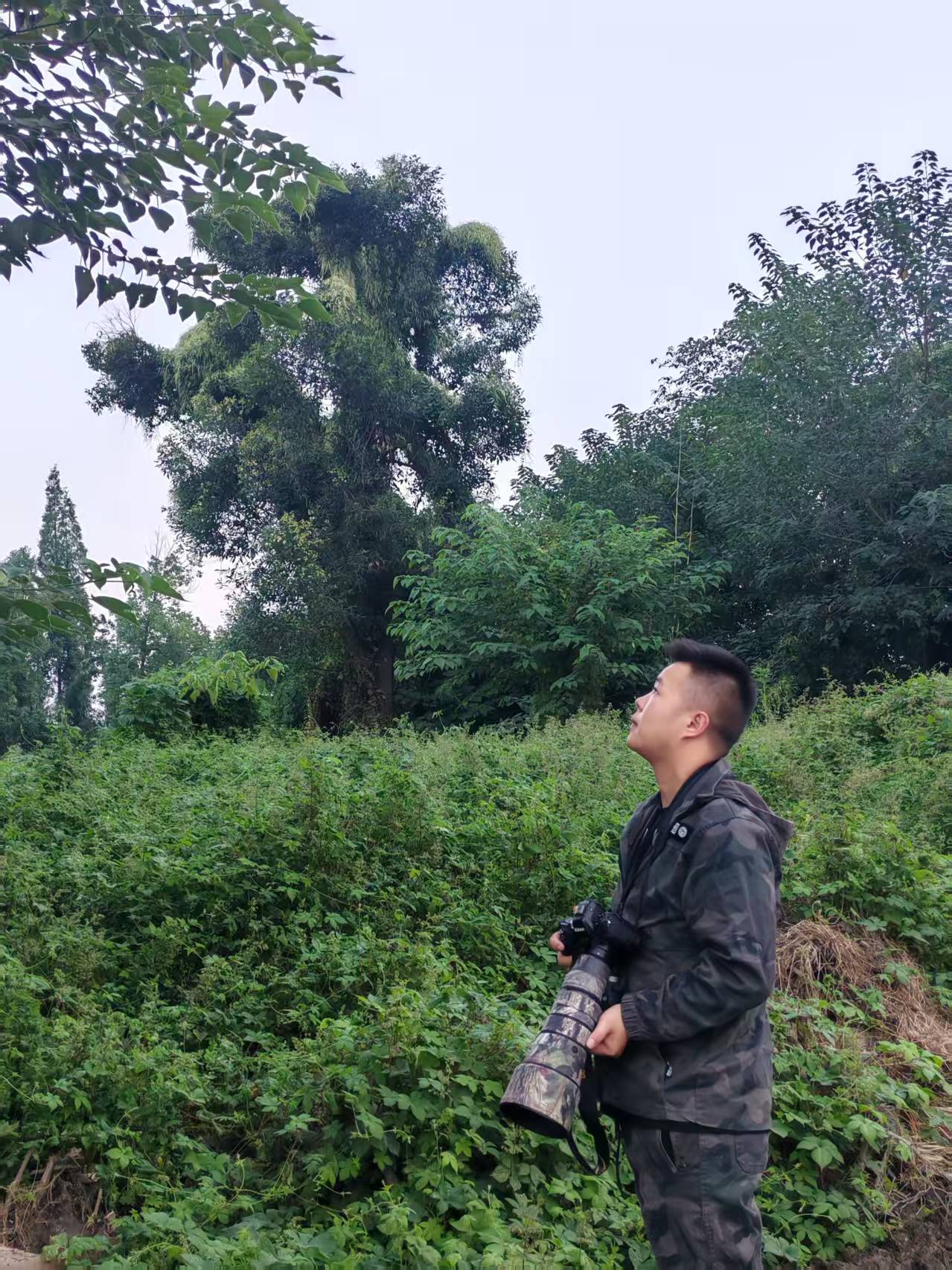 Xiao Song